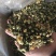 苏北菊胎菊大货每件10公斤质量中等产地直供批发价