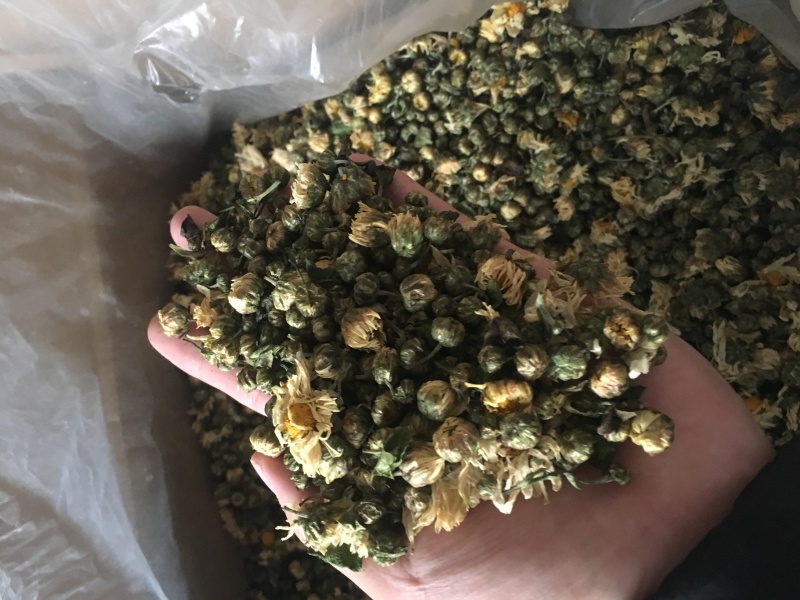 苏北菊胎菊大货每件10公斤质量中等产地直供批发价