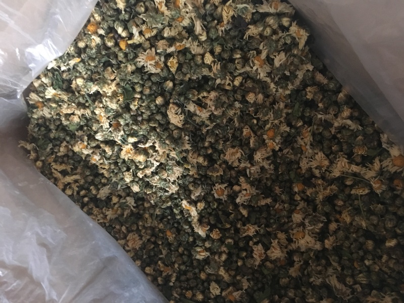 苏北菊胎菊大货每件10公斤质量中等产地直供批发价