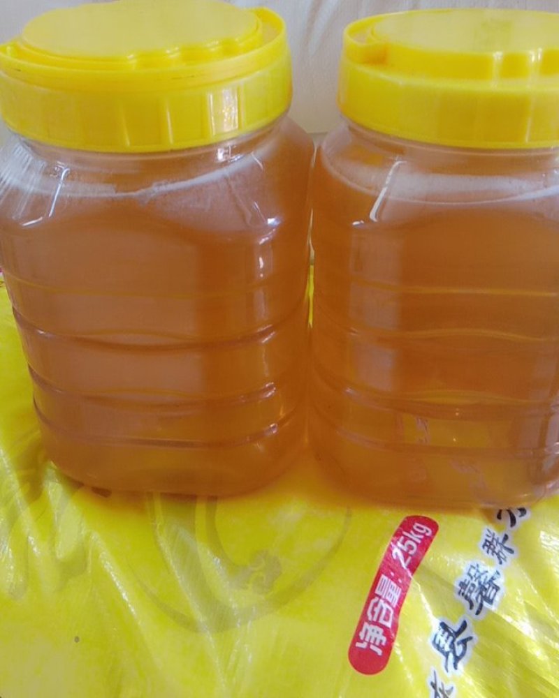 东北深山椴树蜜自产自销真正的在大山采的蜜五斤启邮一件待发