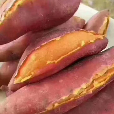 七里香番薯，品种好，老少皆宜，甜，