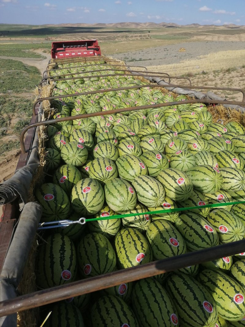 硒砂瓜，又名石头瓜，含糖量15%以上，万亩产地，宁夏银川