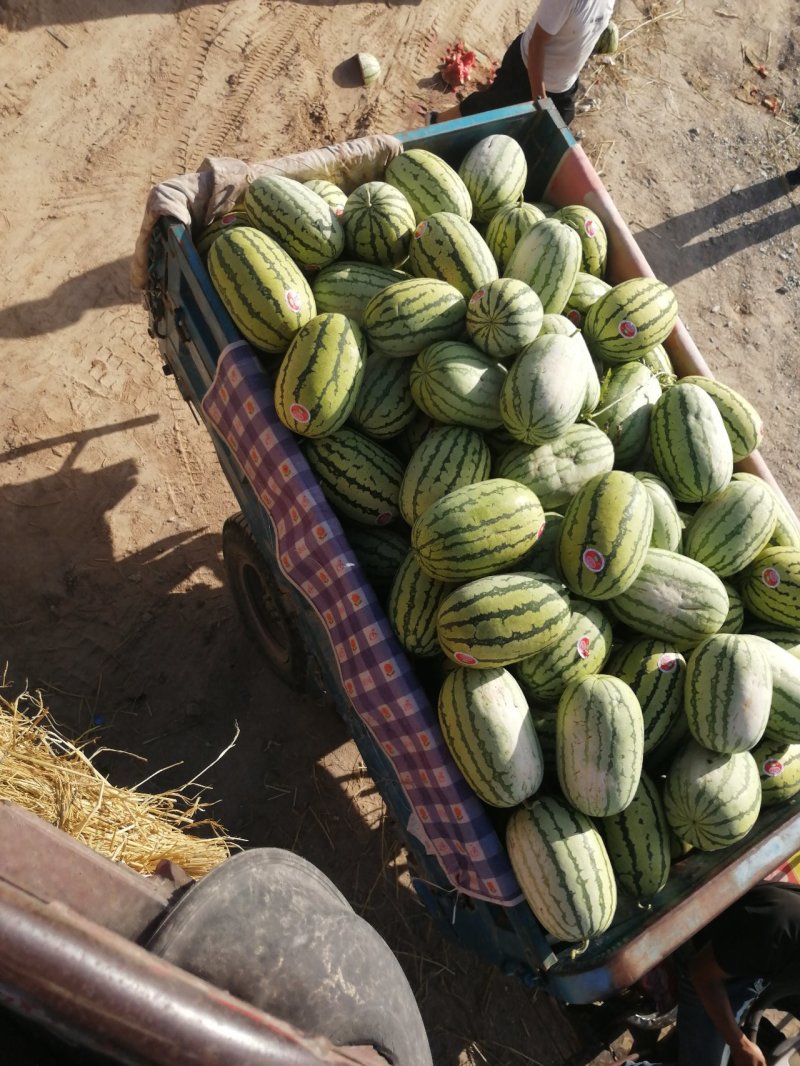 硒砂瓜，又名石头瓜，含糖量15%以上，万亩产地，宁夏银川