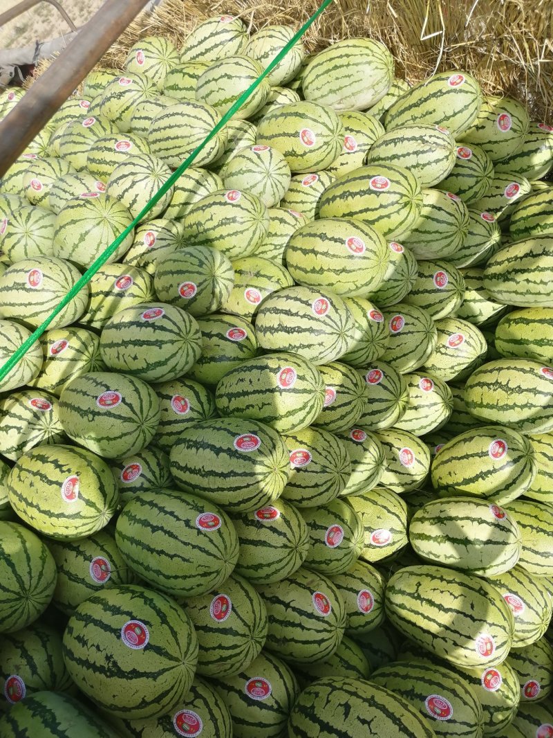 硒砂瓜，又名石头瓜，含糖量15%以上，万亩产地，宁夏银川