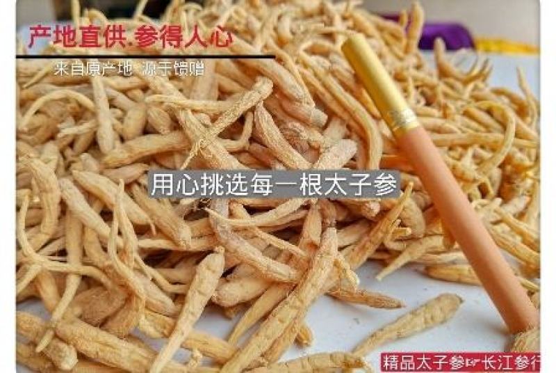 2024新精品太子参（精选）