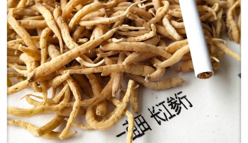 2024新精品太子参（精选）