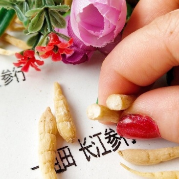 2024新精品太子参（精选）