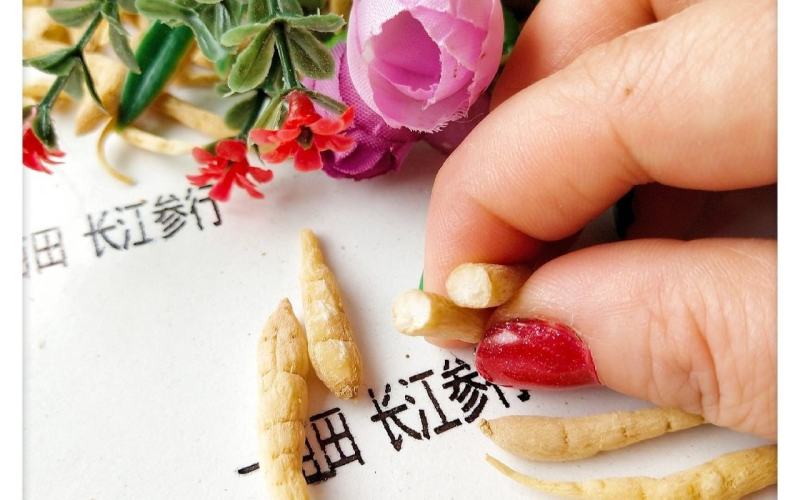 2024新精品太子参（精选）