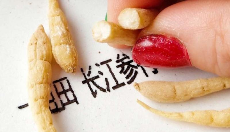 2024新精品太子参（精选）