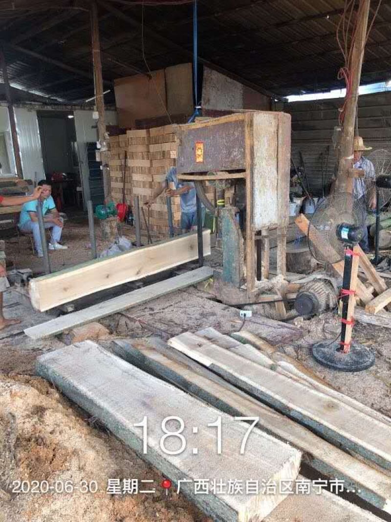 碳桐树，有这么一种树种，它就是碳桐树。