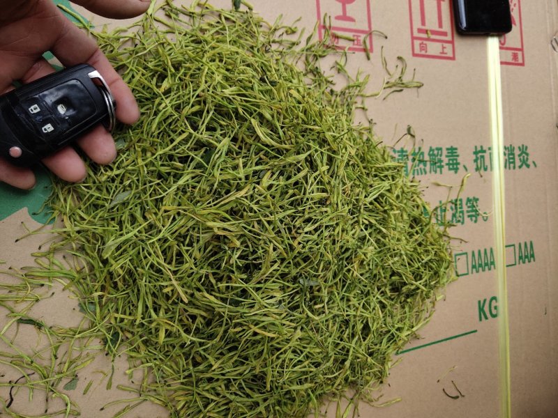 湖南金银花苗/高产花王品种