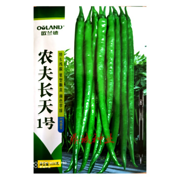 欧兰德农夫长天一号辣椒线椒特长顺直翠绿