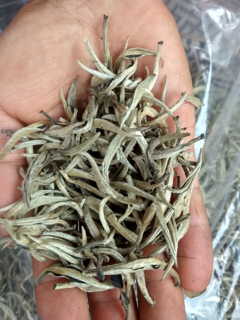 普洱毛尖茶，纯手工加工