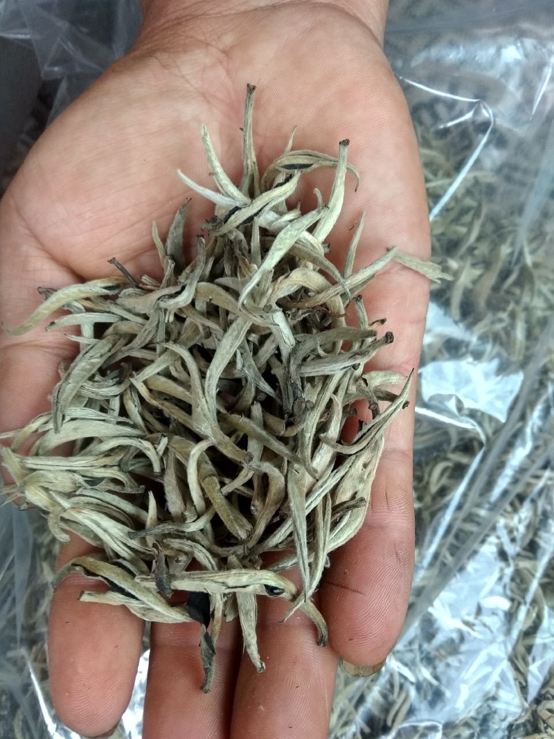 普洱毛尖茶，纯手工加工