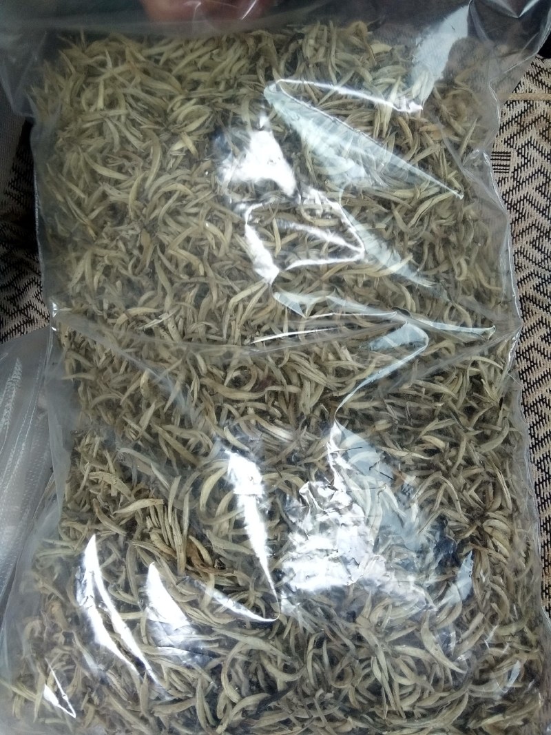 普洱毛尖茶，纯手工加工
