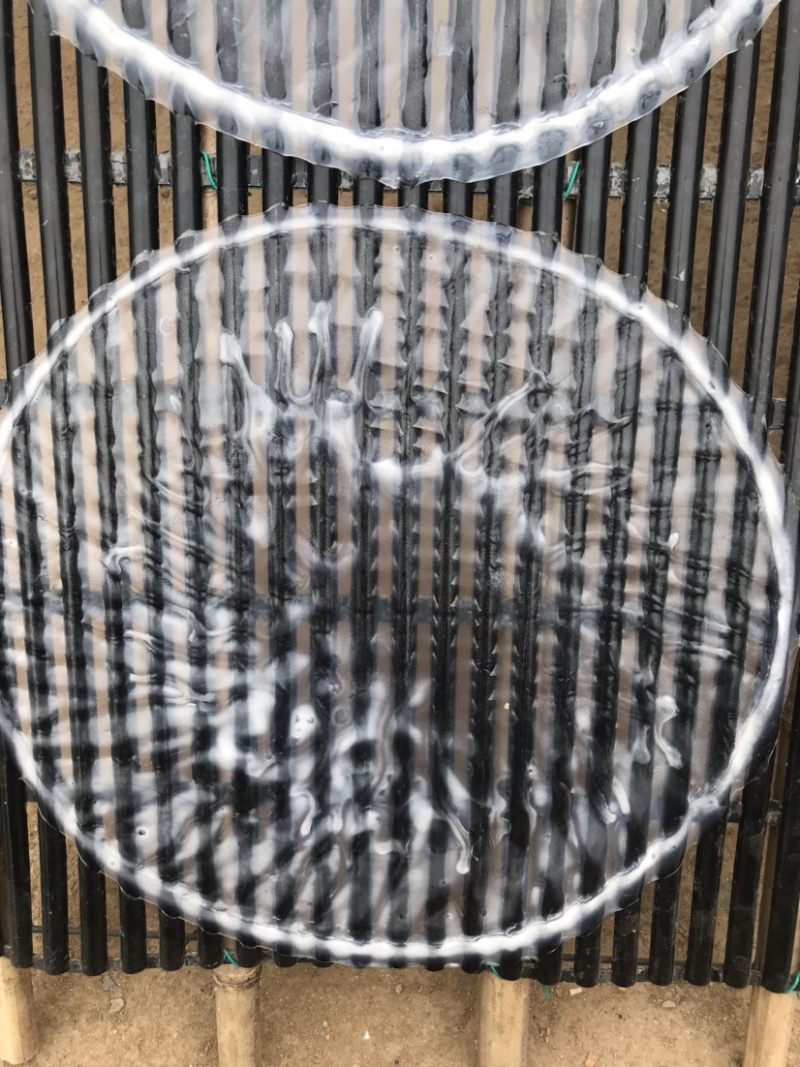 山东泰安纯手工绿豆粉皮农家特产