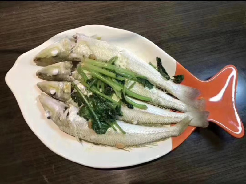 沙尖鱼沙丁鱼金鳞鱼梭子鱼鲜活海鲜水产浅海生鲜