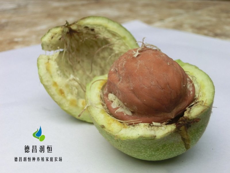 个大皮薄纸皮核桃孕妇核桃纸皮核桃个个精品核桃