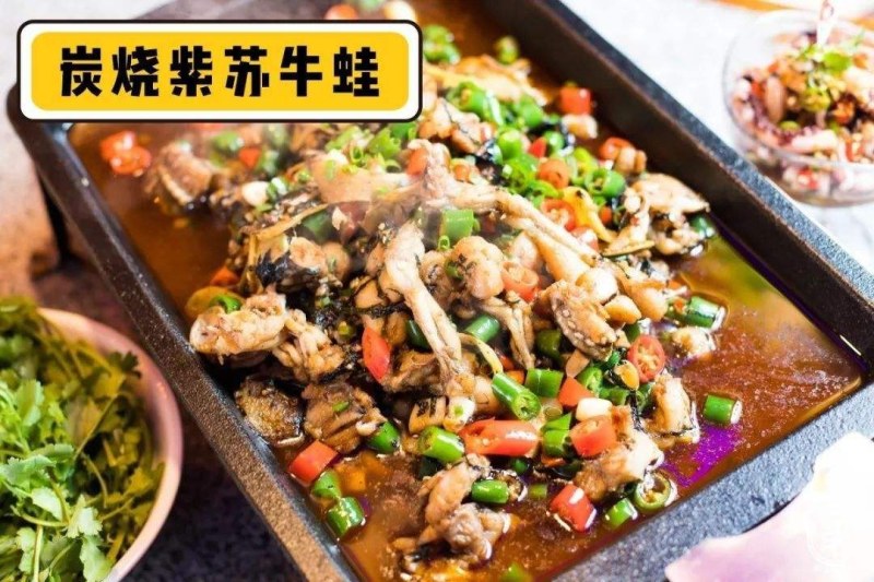 单面紫苏苗子种子一件全国代发免费提供种植技术