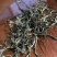 普洱景东无量山生态茶饼