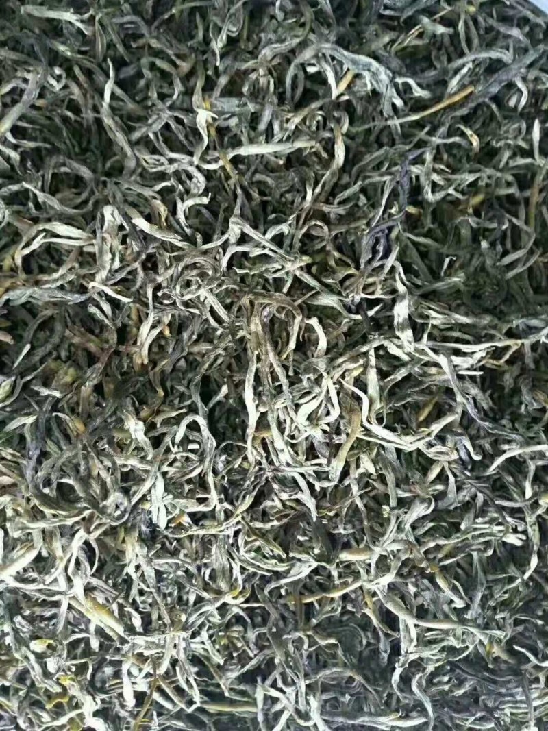 普洱景东无量山生态茶饼