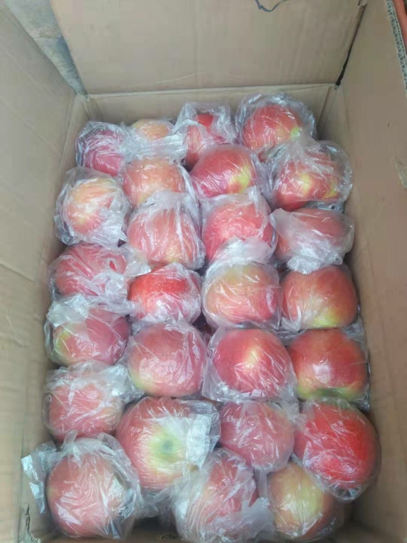 美八70起步，欢迎各位老板来骚扰还有各种水果