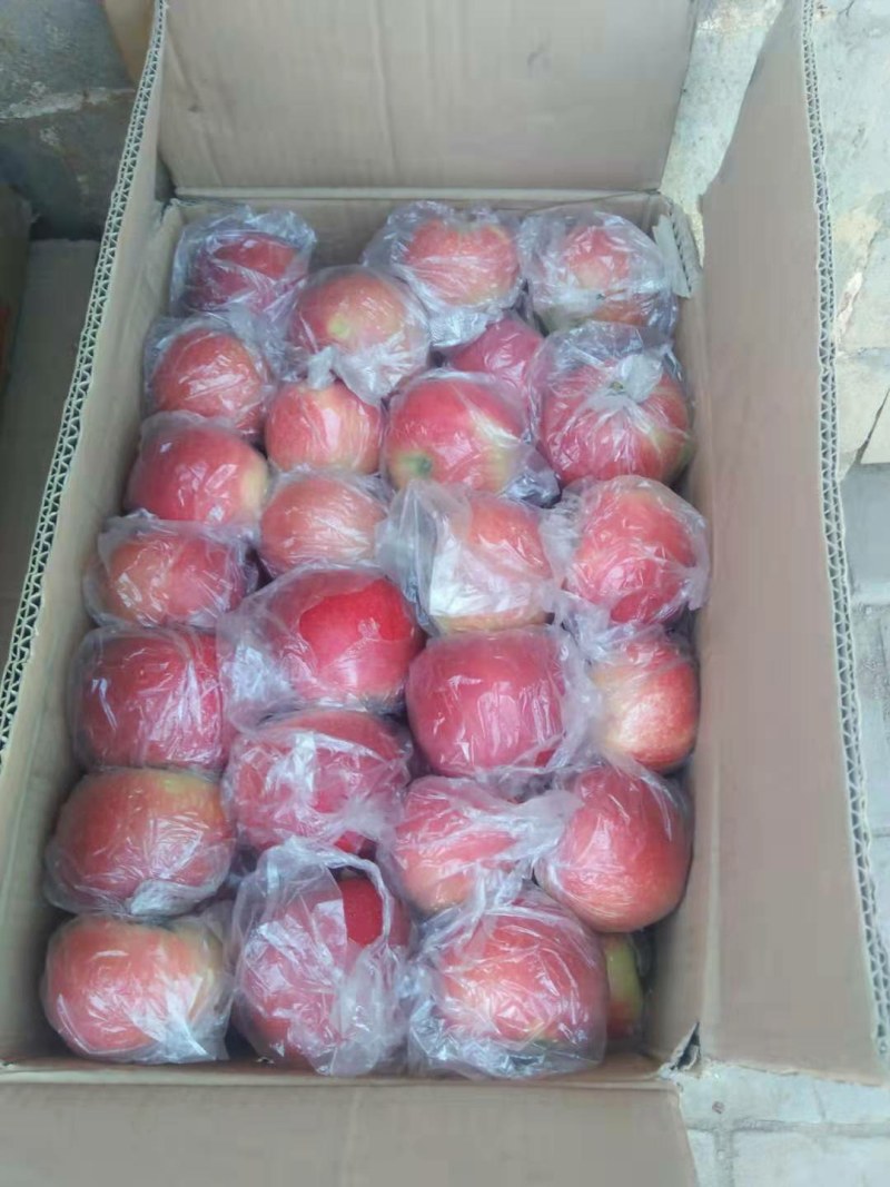 美八70起步，欢迎各位老板来骚扰还有各种水果