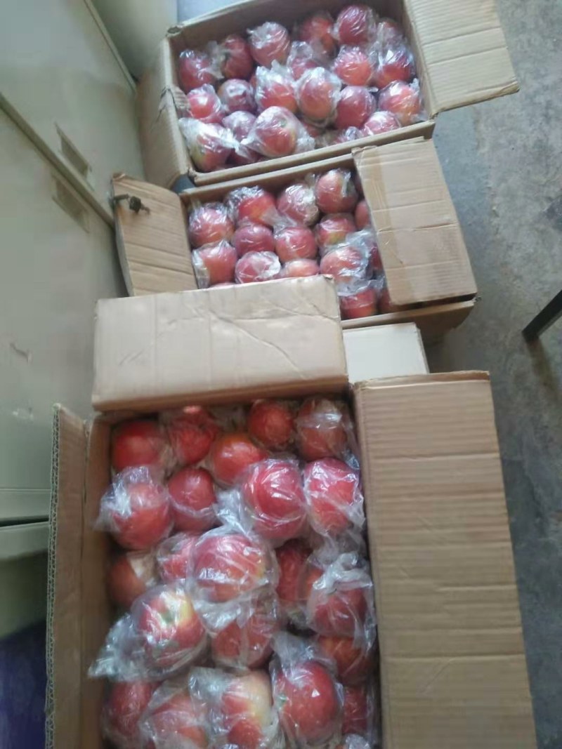 美八70起步，欢迎各位老板来骚扰还有各种水果