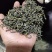 绿茶红茶