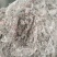 棉茵陈～新货~量大优惠～1公斤起售～诚信合作~