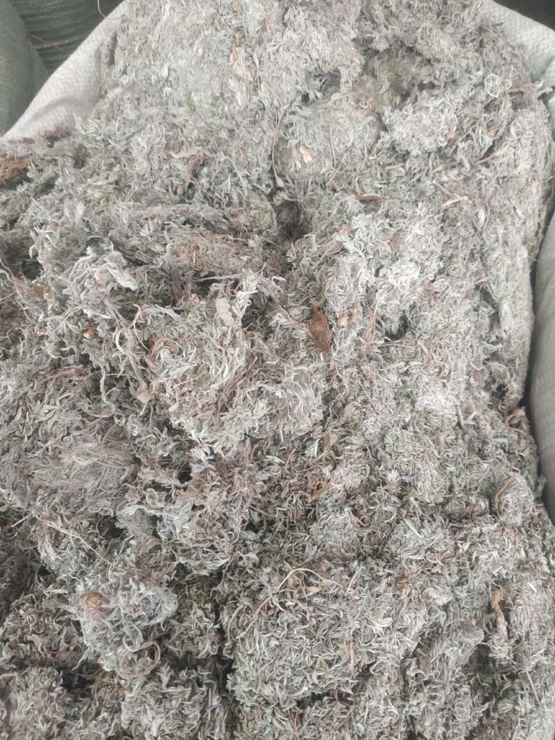 棉茵陈～新货~量大优惠～1公斤起售～诚信合作~