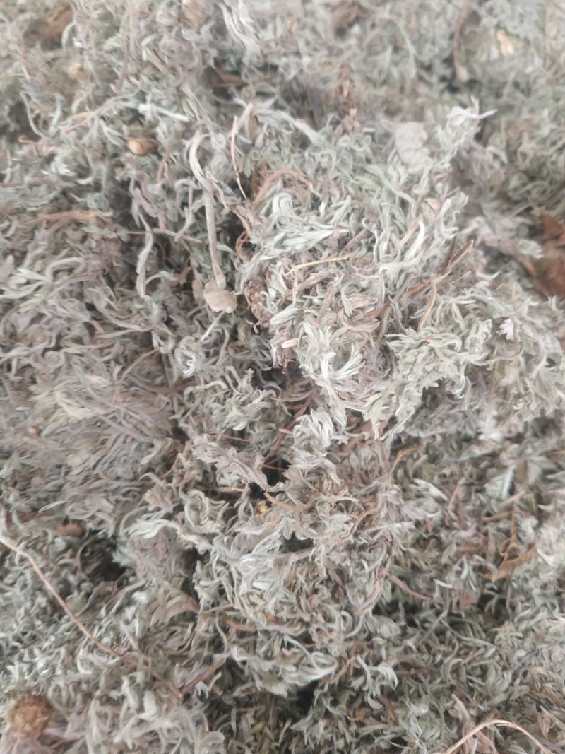 棉茵陈～新货~量大优惠～1公斤起售～诚信合作~