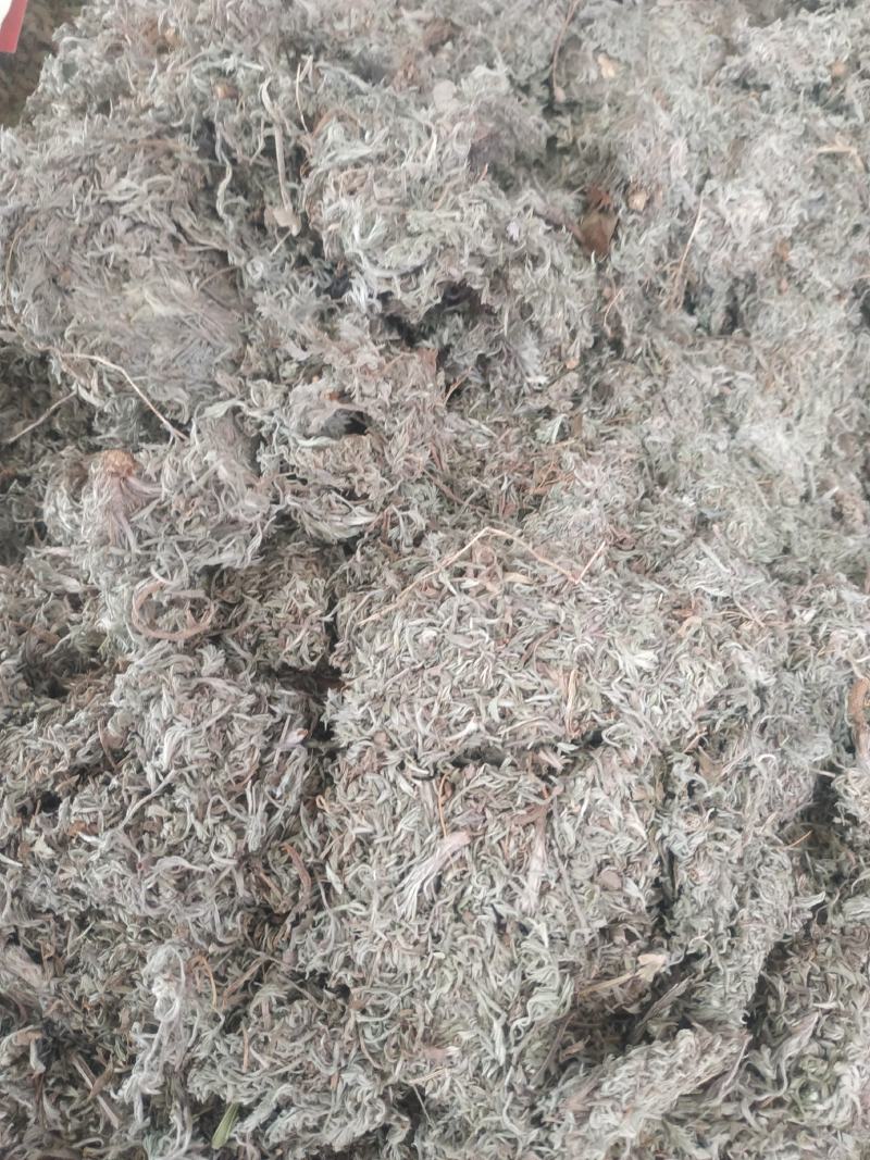 棉茵陈～新货~量大优惠～1公斤起售～诚信合作~