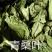 广东英德产地直销青桑叶，优质青桑叶，欢迎选购