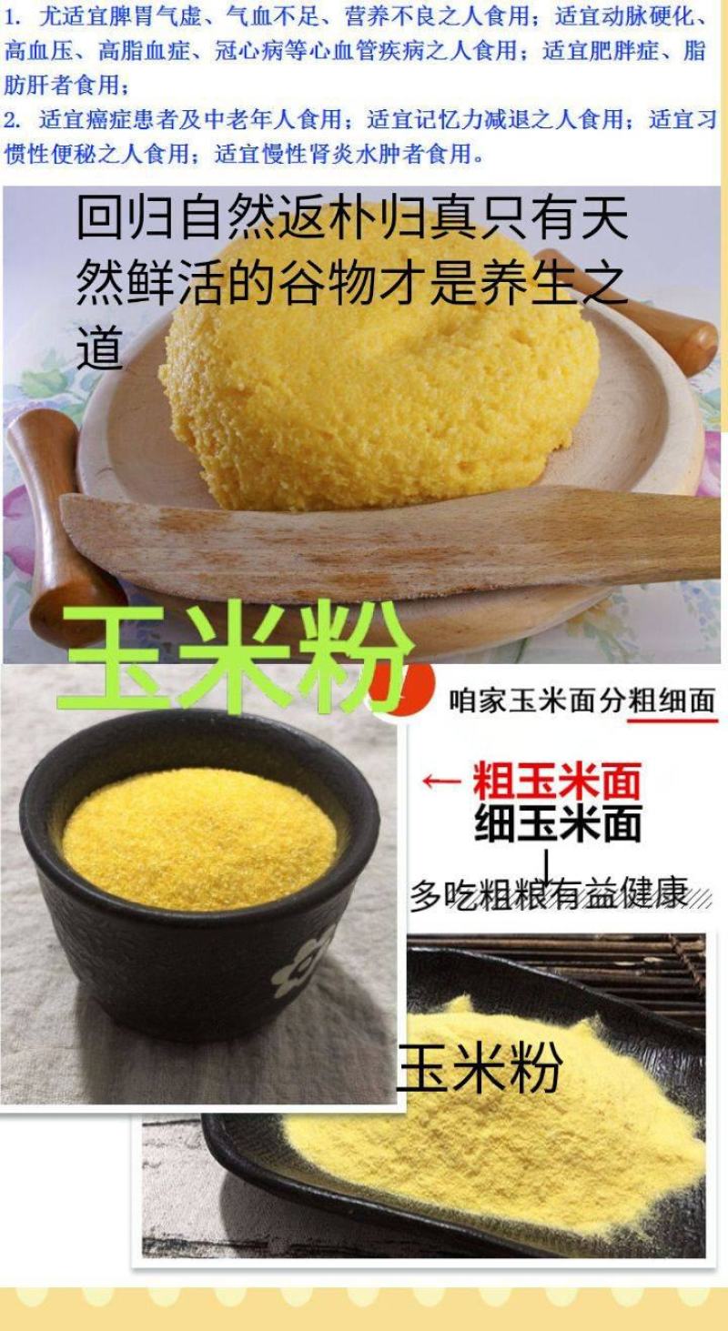 黄玉米面白玉米面窝窝头考用玉米面东北黑土地长出玉米面5斤