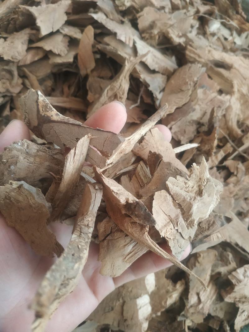 乌药~根部切片~质量保证~量大优惠~1公斤起售~
