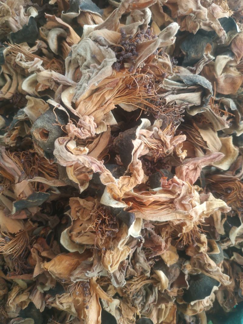 木棉花～新货量大优惠质量好价格便宜欢迎采购