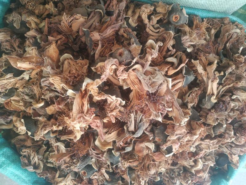 木棉花～新货量大优惠质量好价格便宜欢迎采购
