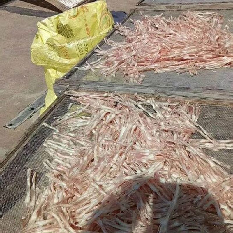 猪蹄筋干蹄筋猪蹄筋猪蹄筋干货500g农家自晒无添加2