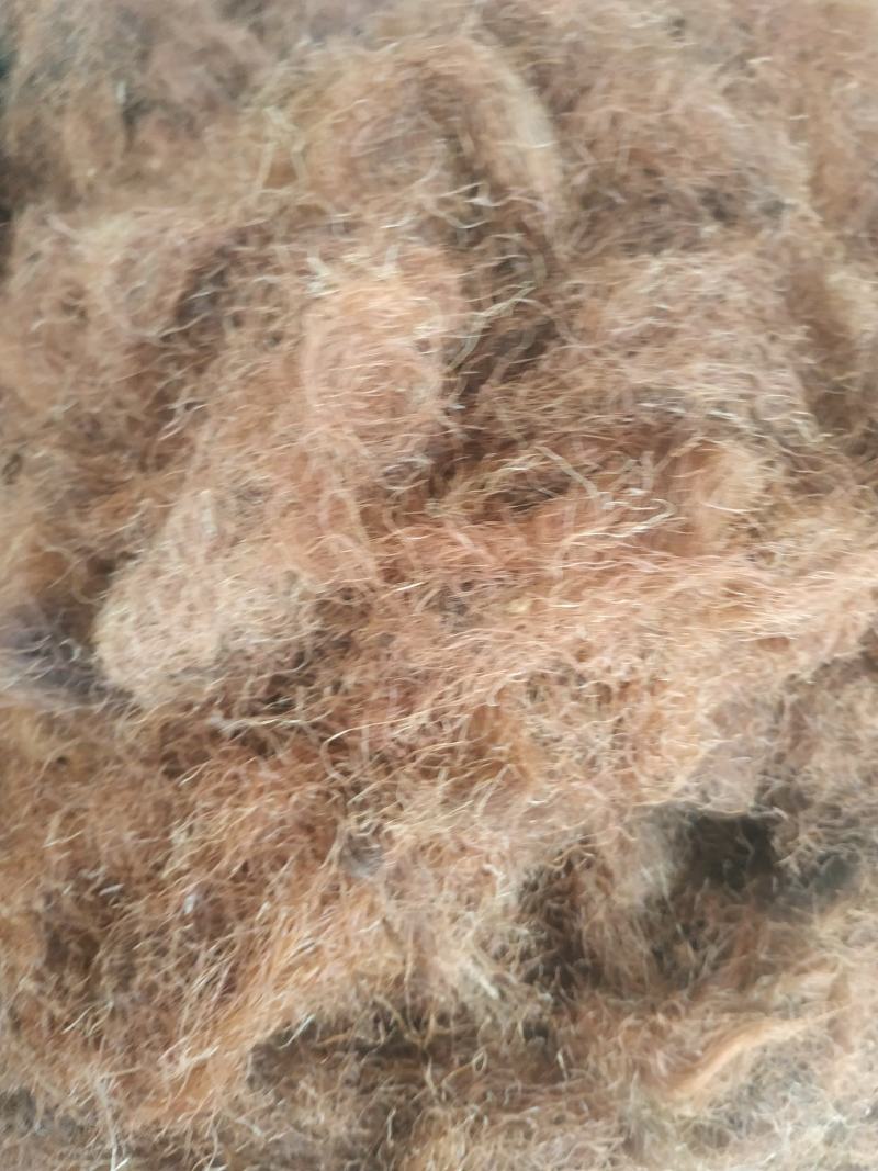 玉米须～1公斤起售.量大优惠～欢迎咨询采购