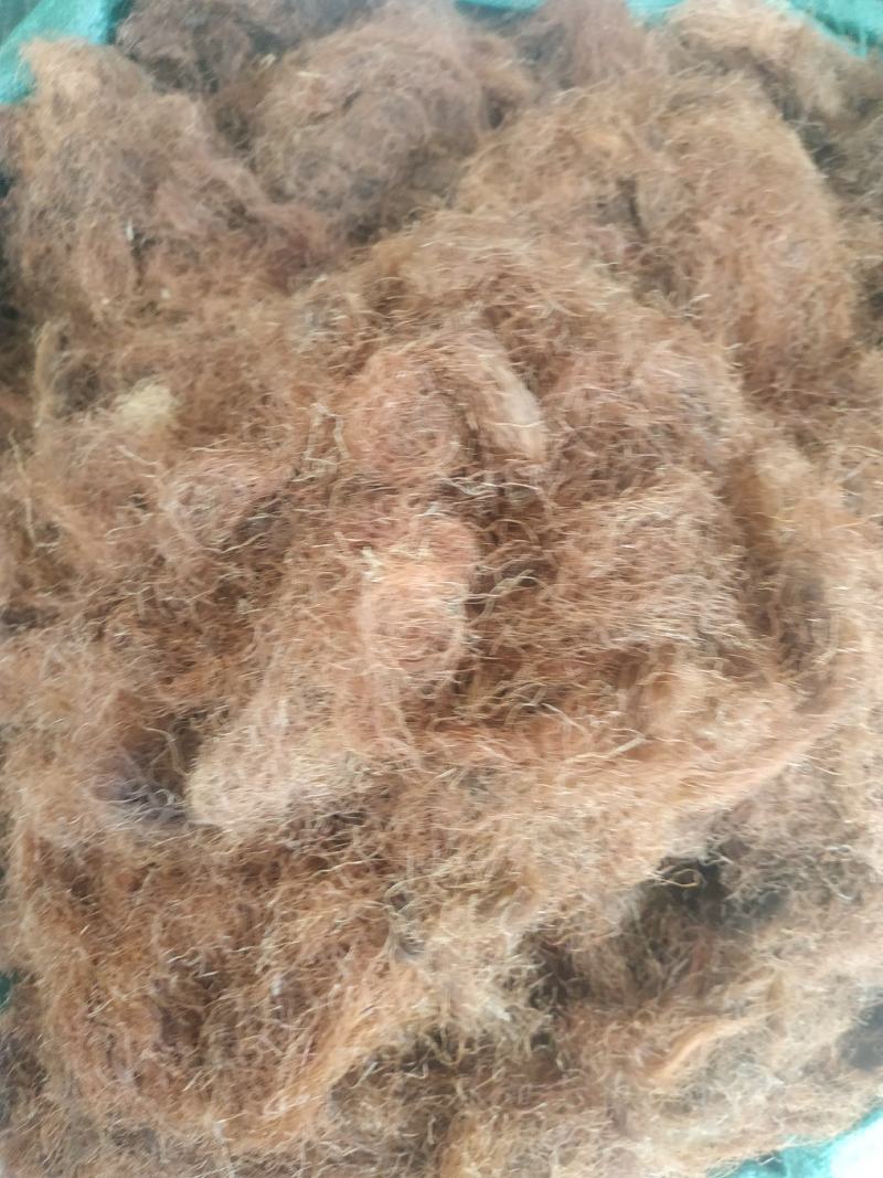 玉米须～1公斤起售.量大优惠～欢迎咨询采购