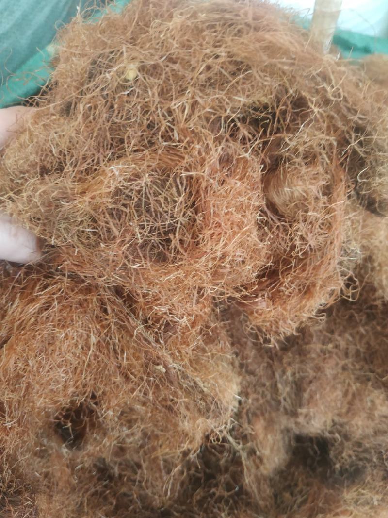 玉米须～1公斤起售.量大优惠～欢迎咨询采购