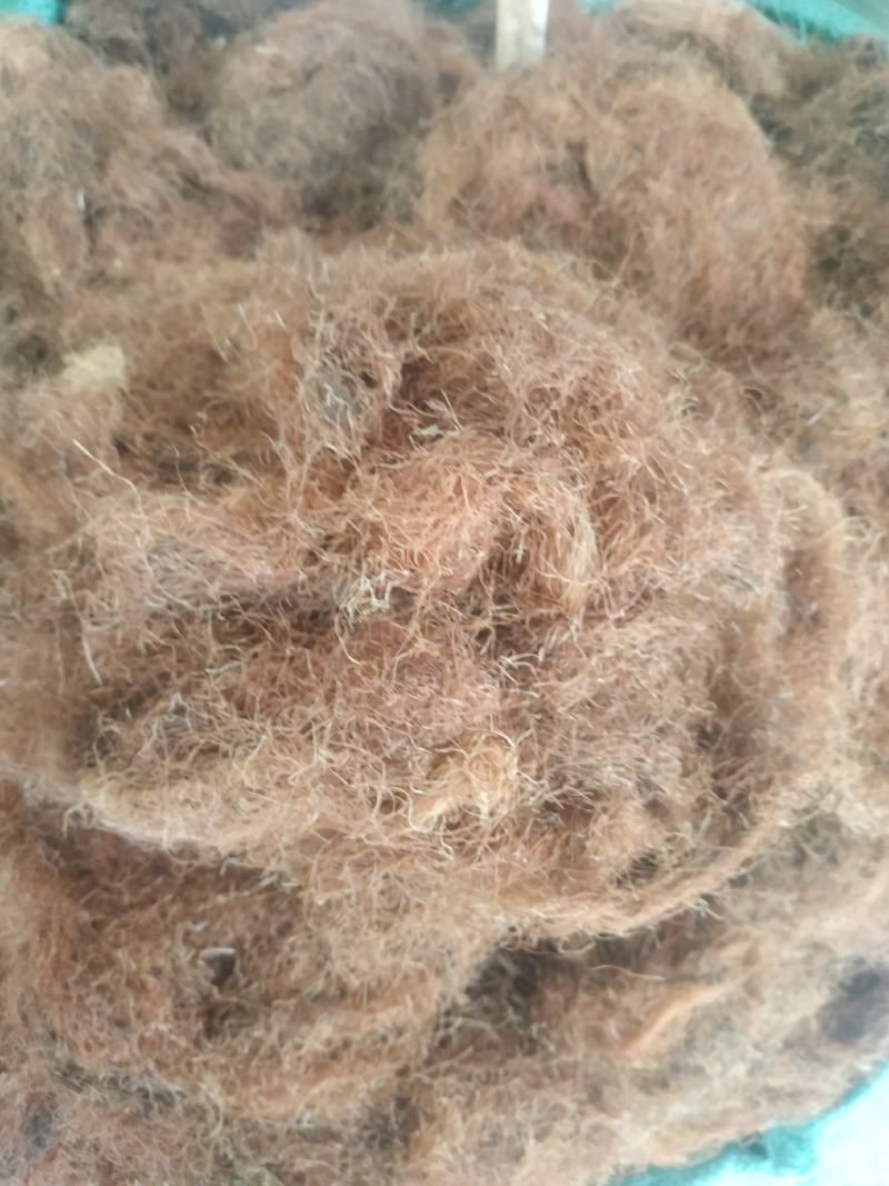 玉米须～1公斤起售.量大优惠～欢迎咨询采购