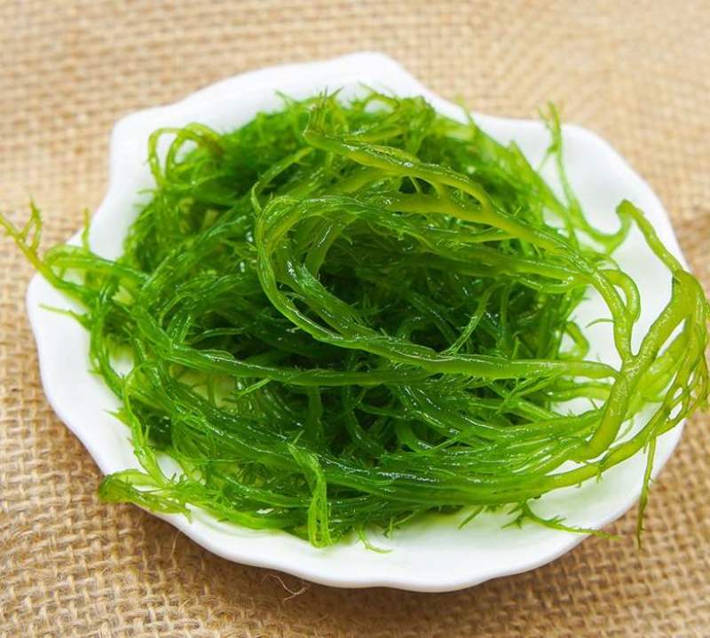 霞浦野生海藻/龙须菜凉拌，炖汤上品可口美味