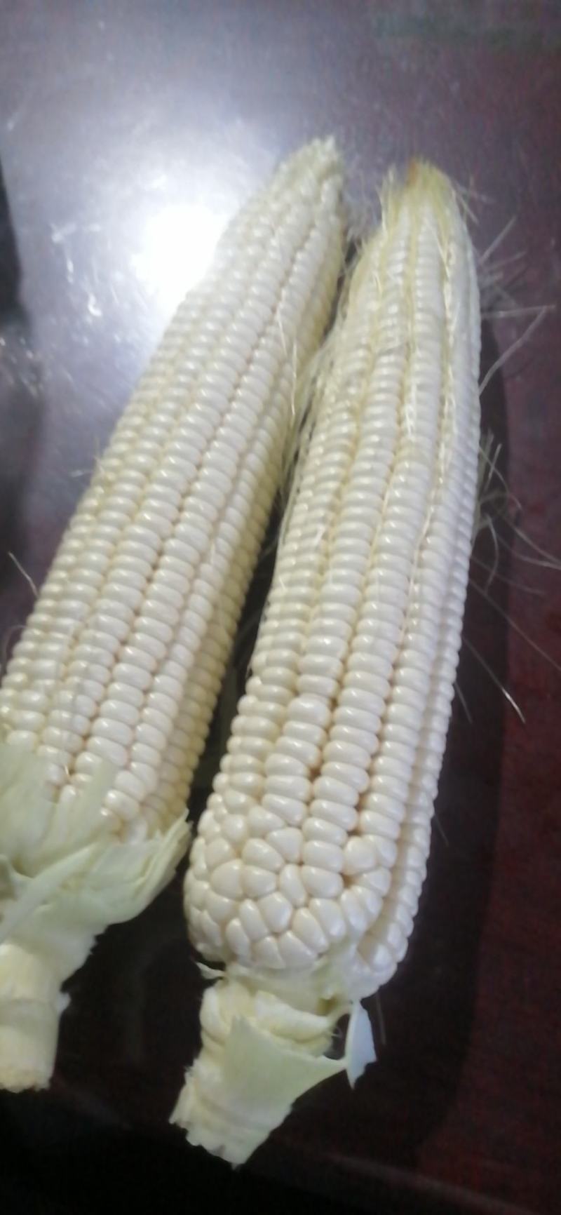 黄甜，纯白色甜玉米上市，产地直供