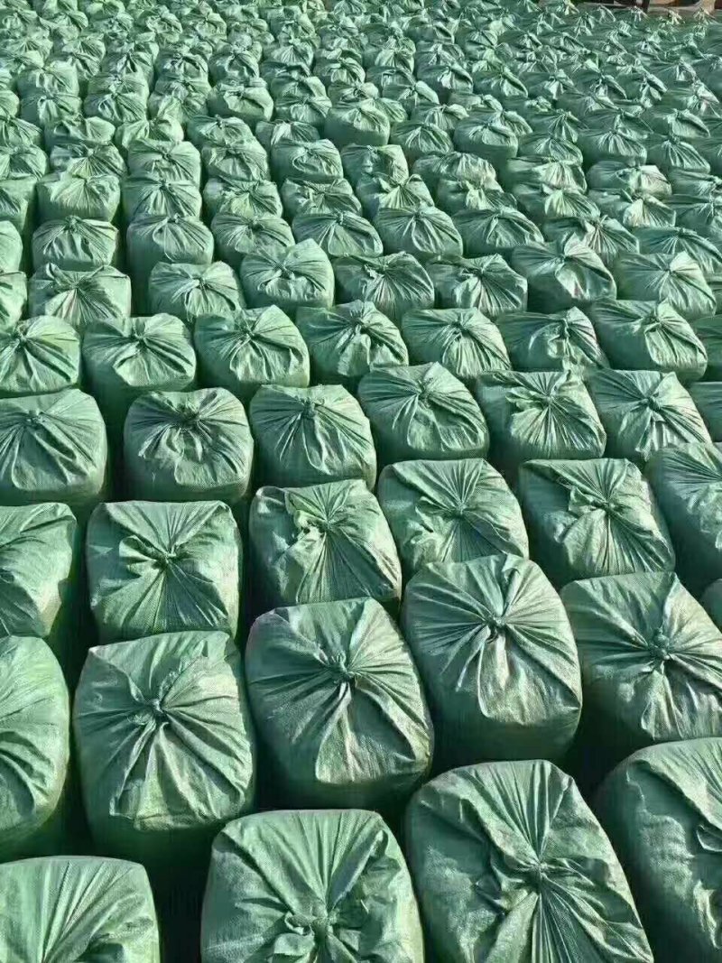 【优质货源】甜玉米秸秆青储饲料大量出售，厂家直供，货源足
