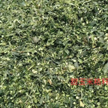 【优质货源】甜玉米秸秆青储饲料大量出售，厂家直供，货源足