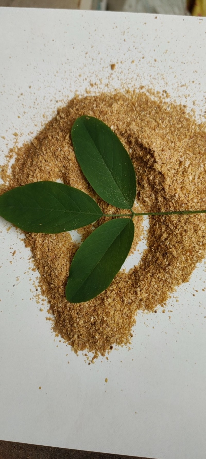 厂家直销优质好货玉米皮喷浆玉米皮喷浆玉米皮粉