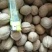 2021新货,新疆薄皮核桃,手捏即开!【精选核桃】