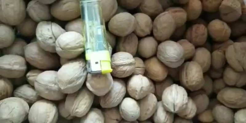 2021新货，新疆薄皮核桃，手捏即开！【精选核桃】